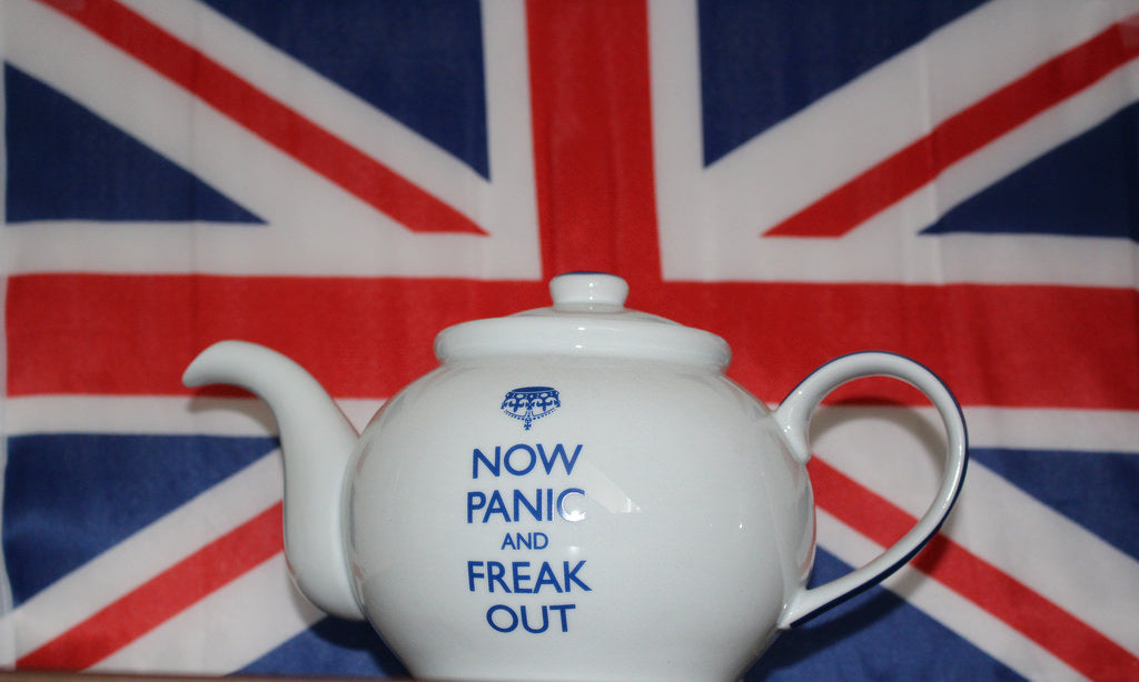 Brexit Blog: An Unknown Future