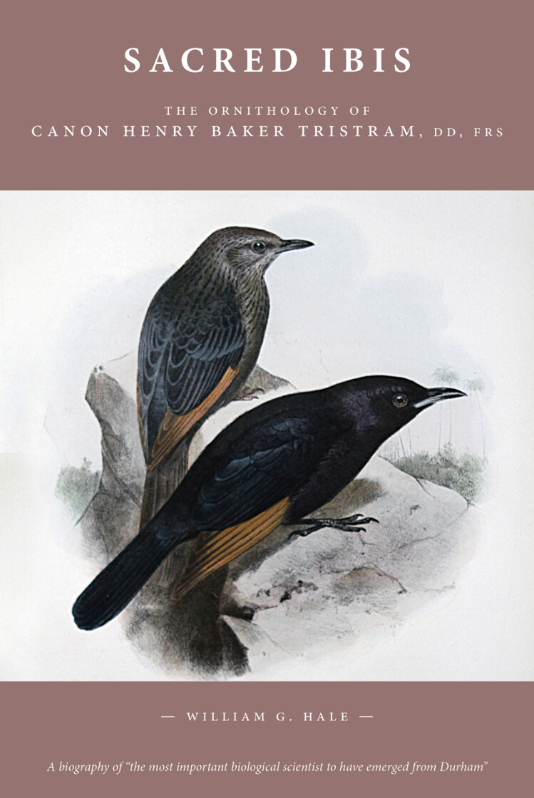 Sacred Ibis: The Ornithology of Canon Henry Baker Tristram, DD, FRS - product image