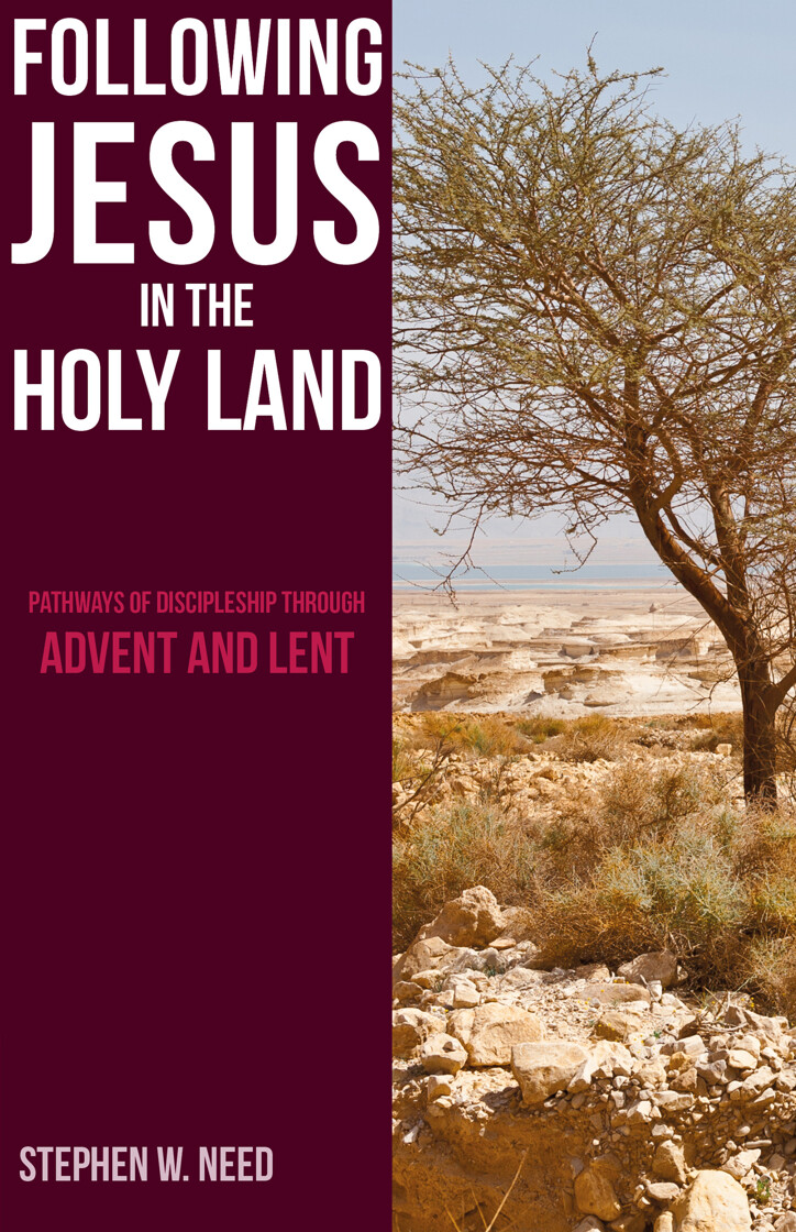 Following Jesus in the Holy Land: Pathways of Discipleship through Advent and Lent - product image