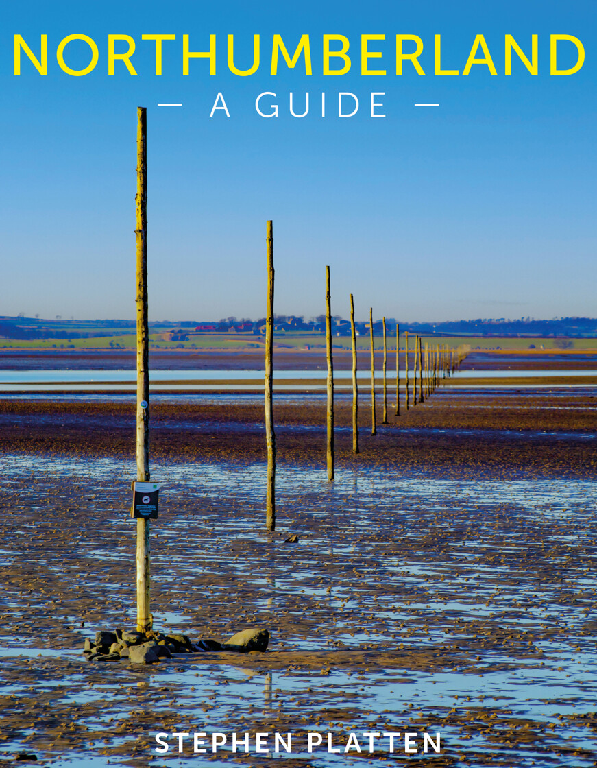 Northumberland: A Guide - product image