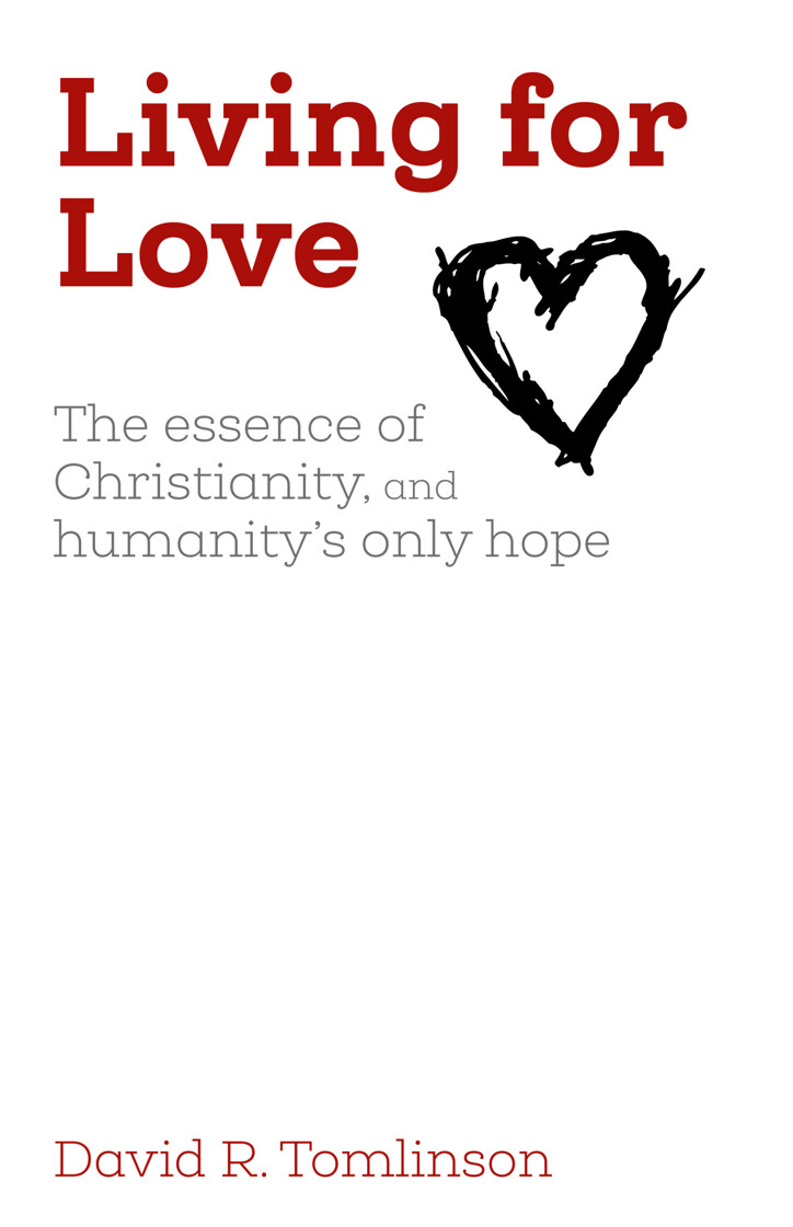 Living for Love: The essence of Christianity, and humanity's only hope - product image