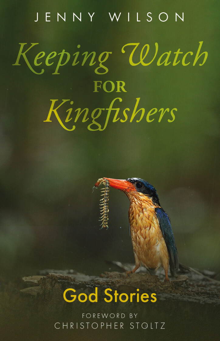 Keeping Watch for Kingfishers: God Stories - product image