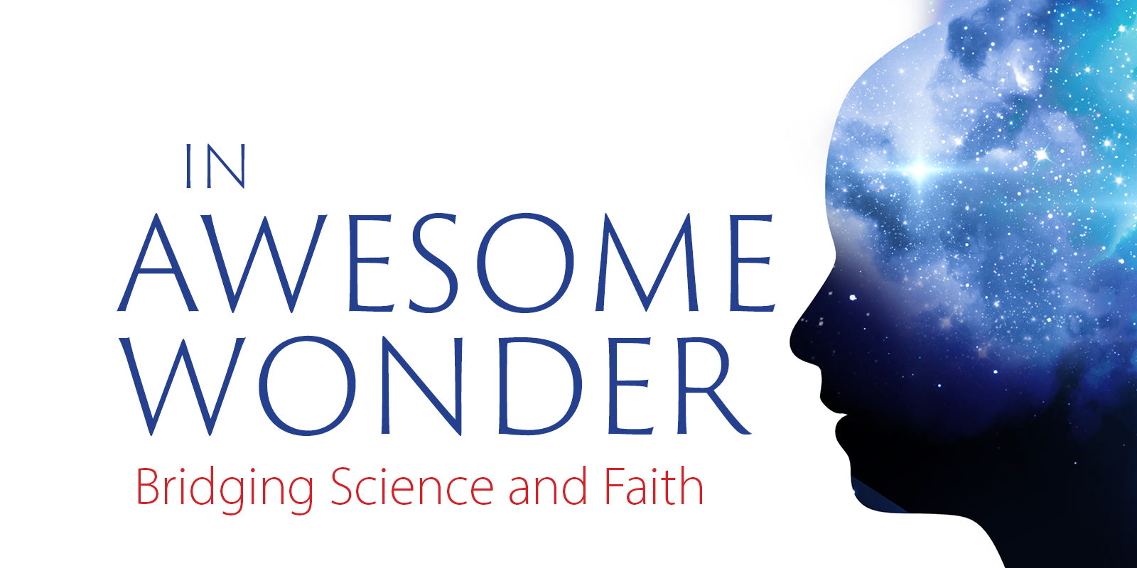 Look Inside: In Awesome Wonder
