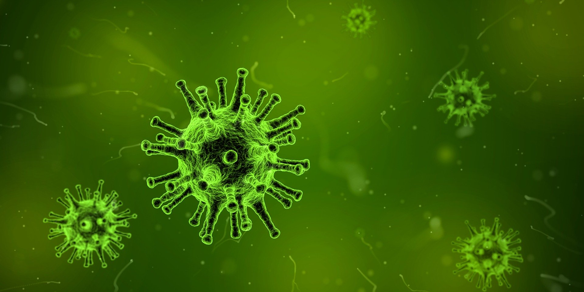 The Coronavirus and Liminal Space