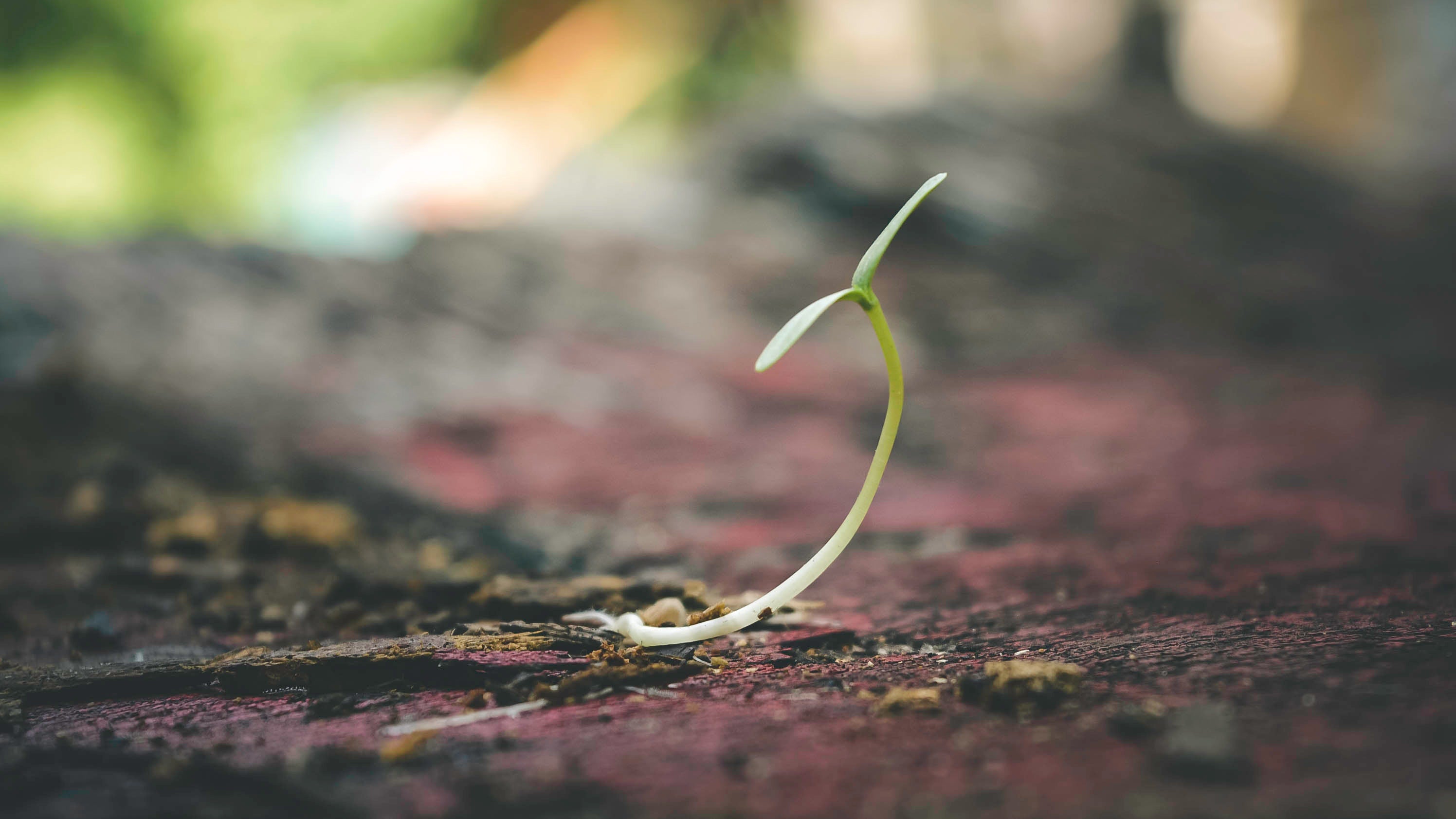 November #ThemeOfTheMonth: New Beginnings