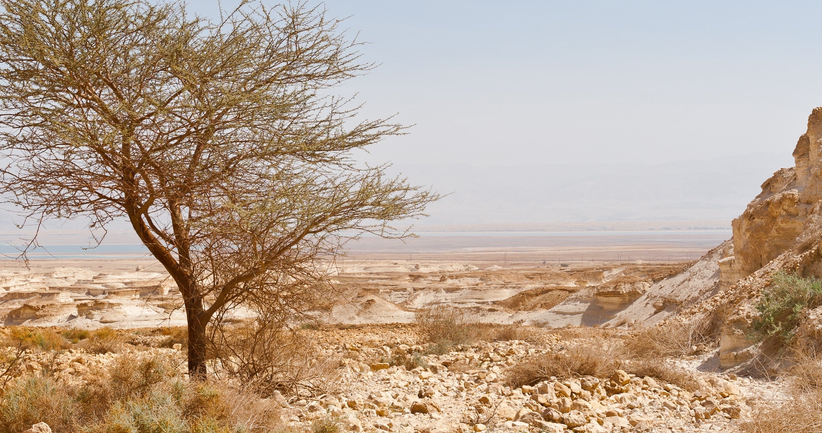 An Armchair Pilgrimage through the Holy Land