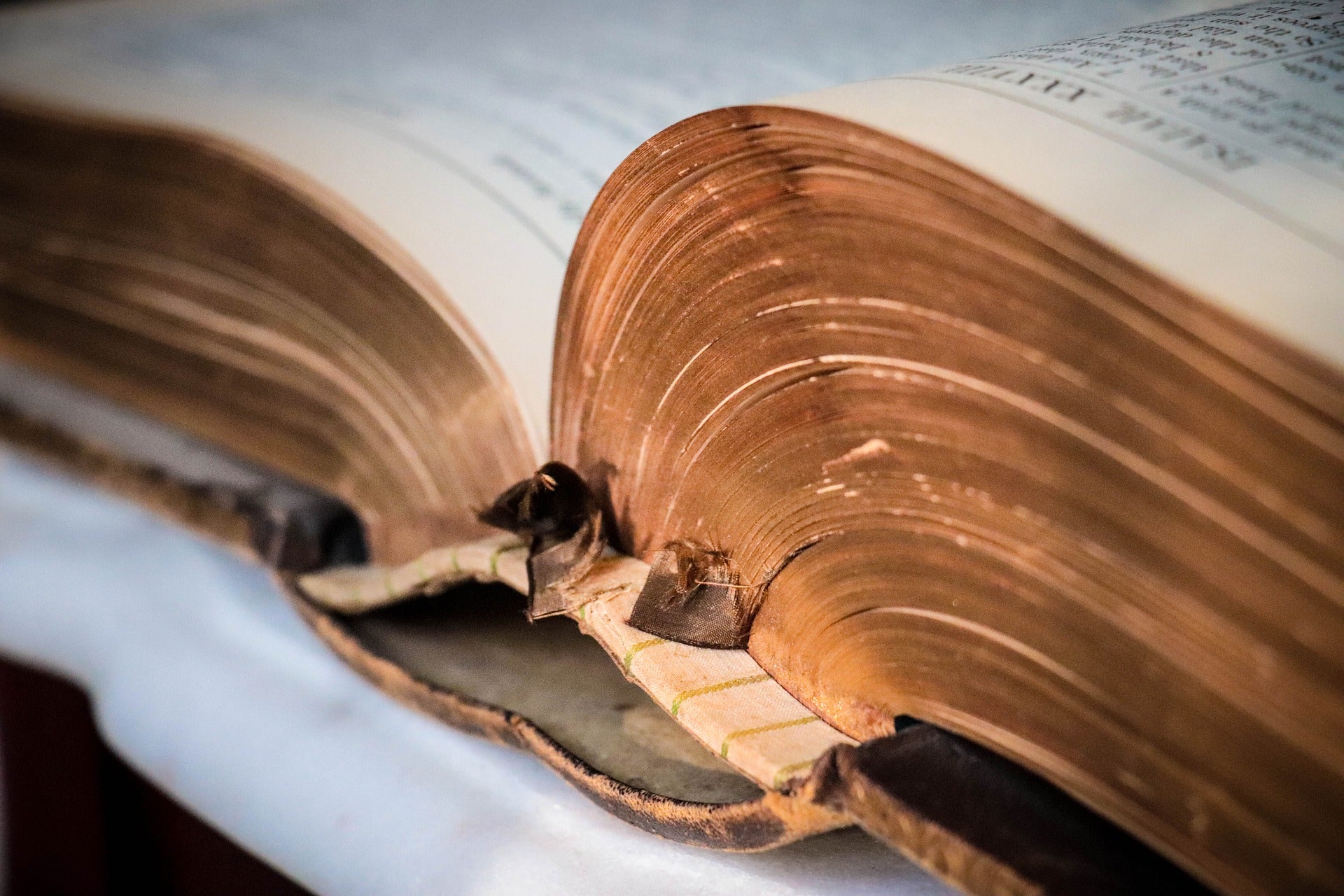 The Beauty of the Hebrew Scriptures