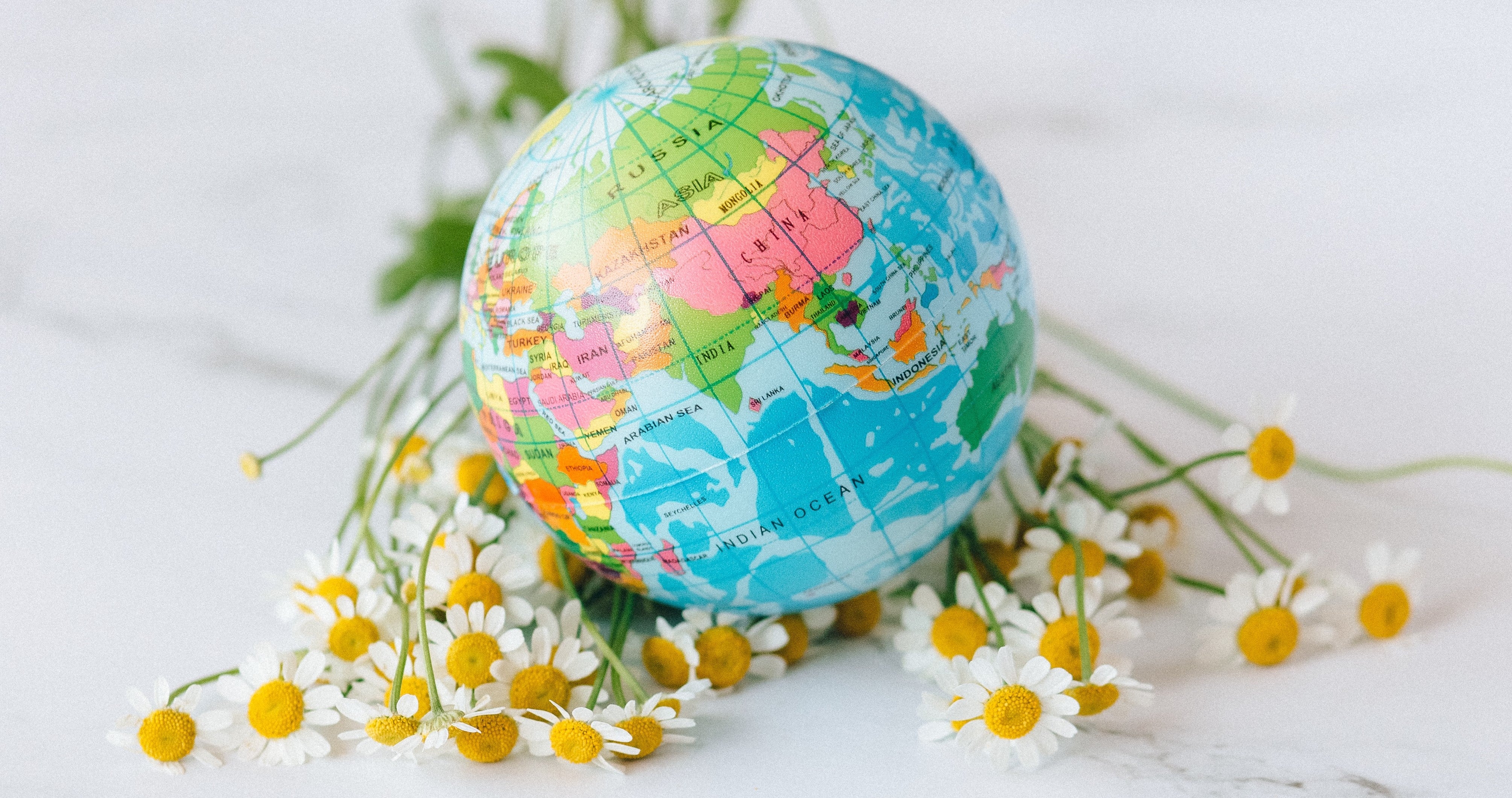 August #ThemeOfTheMonth: Climate & Environment